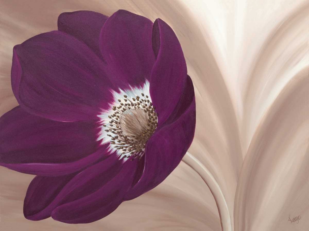 Velvet Anemone art print by Kaye Lake for $57.95 CAD