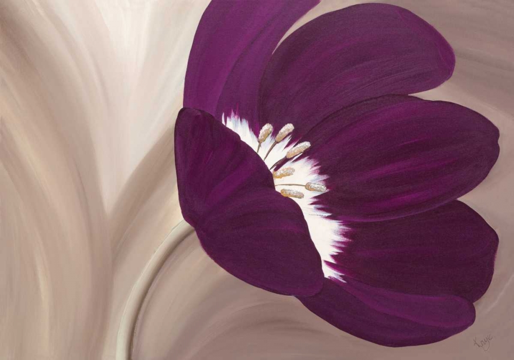 Velvet Poppy art print by Kaye Lake for $57.95 CAD