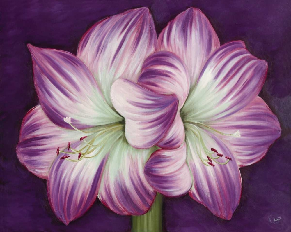 Purple Amaryllis art print by Kaye Lake for $57.95 CAD