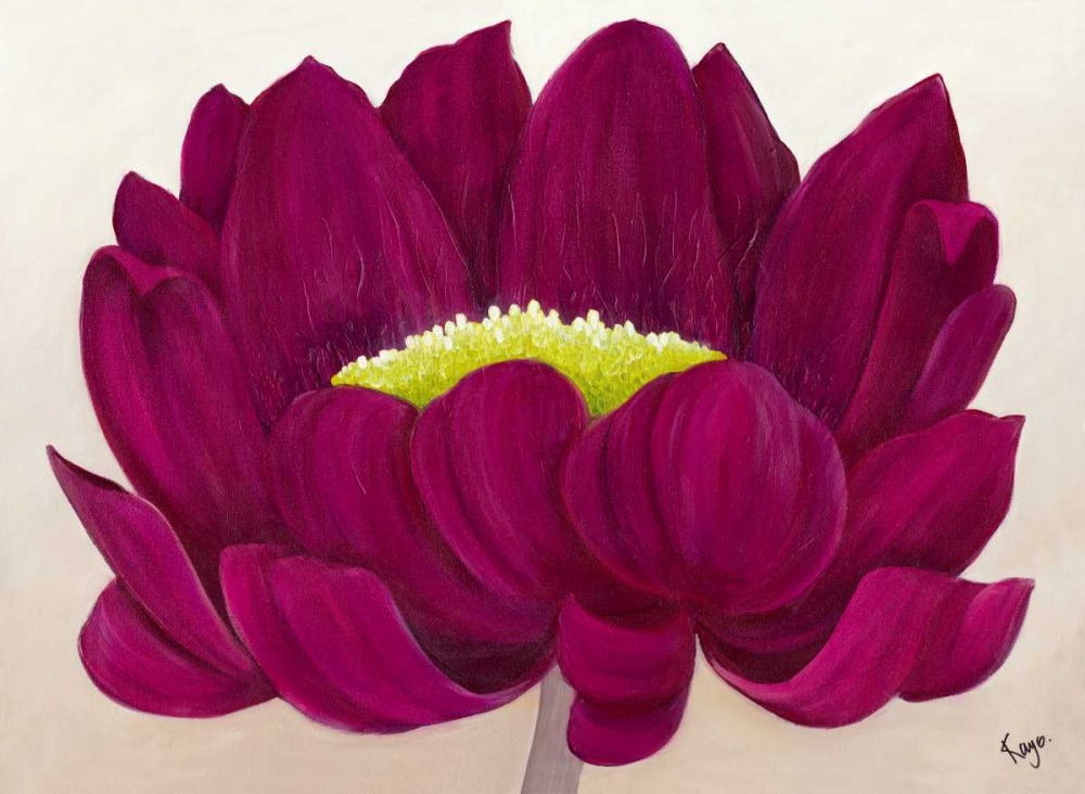 Raspberry Delight II art print by Kaye Lake for $57.95 CAD