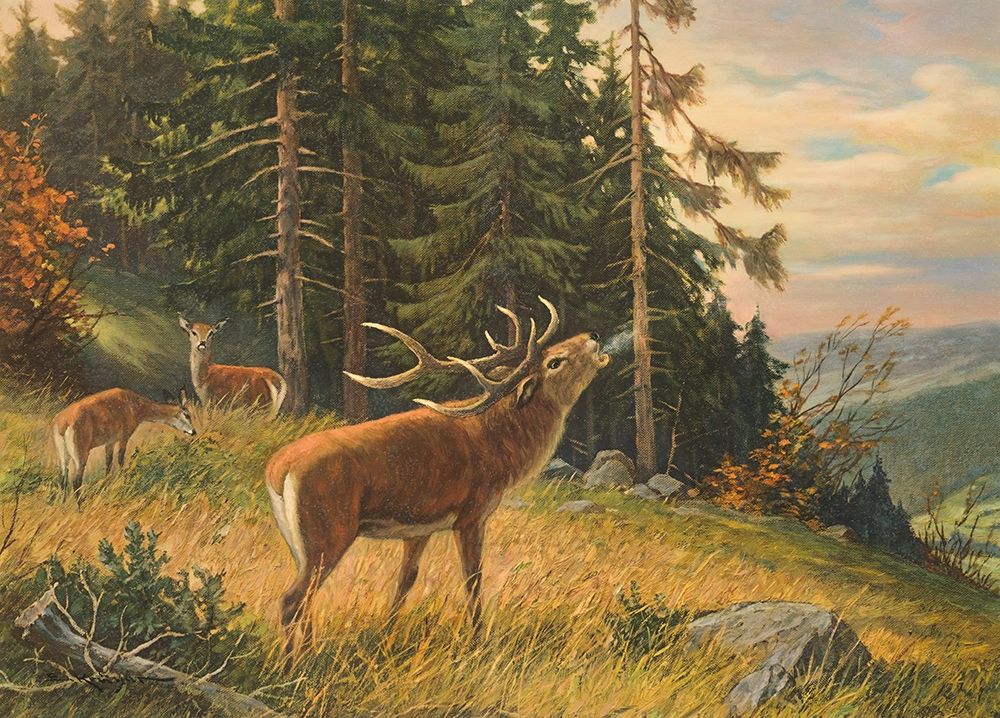 RUTTING SEASON OF STAGS art print by E. Krueger for $57.95 CAD