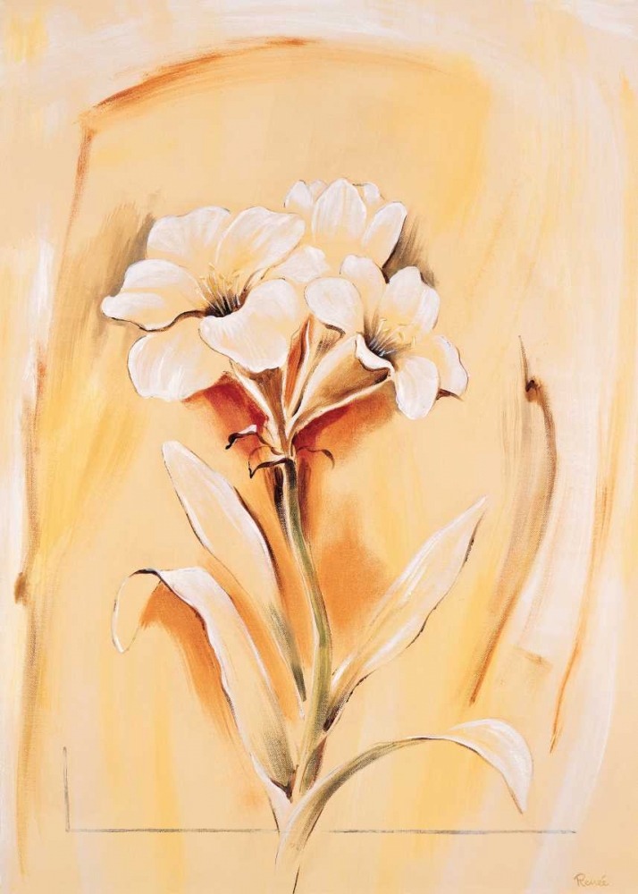 Morning glory art print by Renee for $57.95 CAD