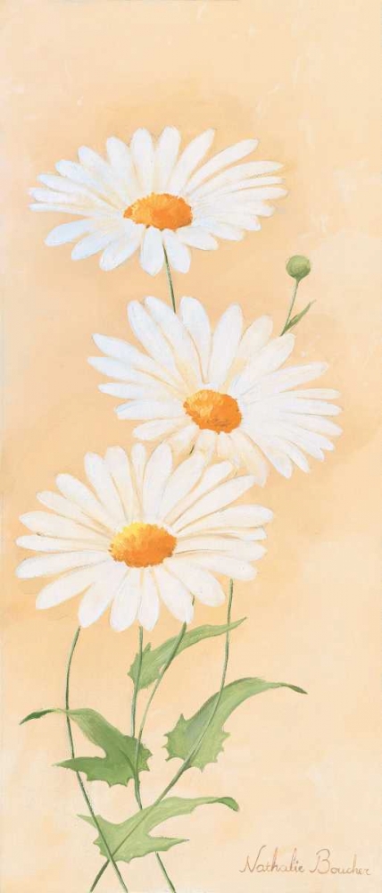 White margarite I art print by Nathalie Boucher for $57.95 CAD