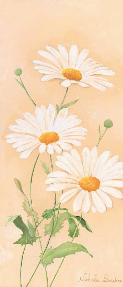 White margarite III art print by Nathalie Boucher for $57.95 CAD
