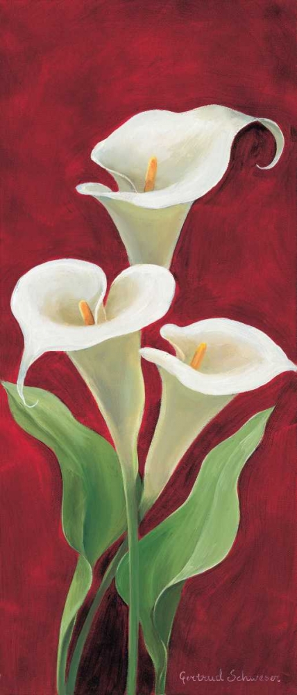 Calla on burgundy I art print by Gertrud Schweser for $57.95 CAD