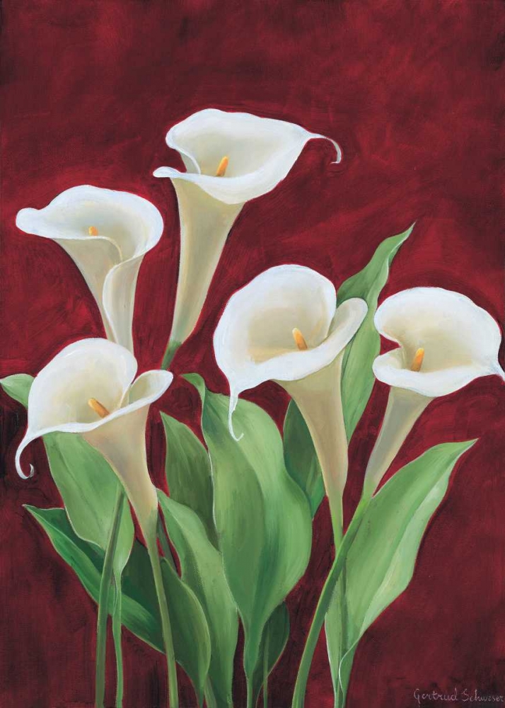 Calla on burgundy II art print by Gertrud Schweser for $57.95 CAD