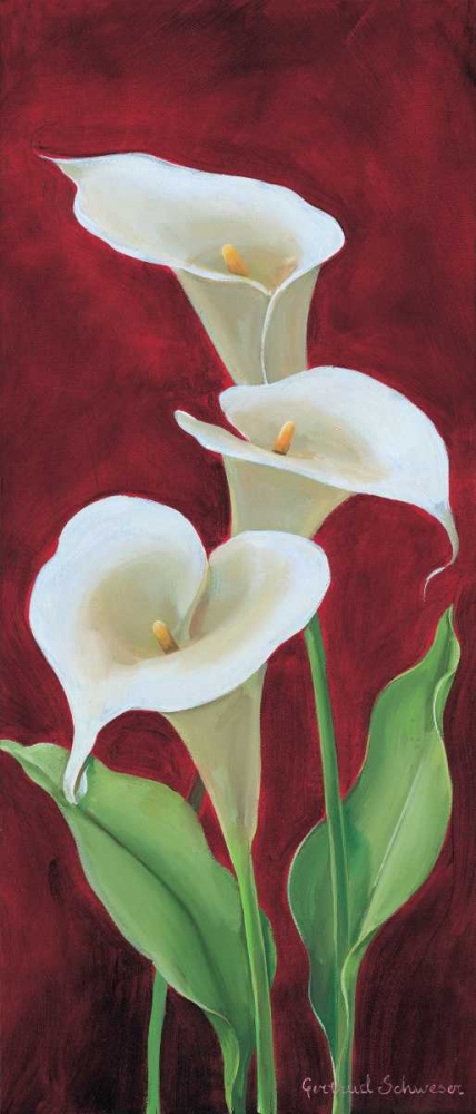 Calla on burgundy III art print by Gertrud Schweser for $57.95 CAD