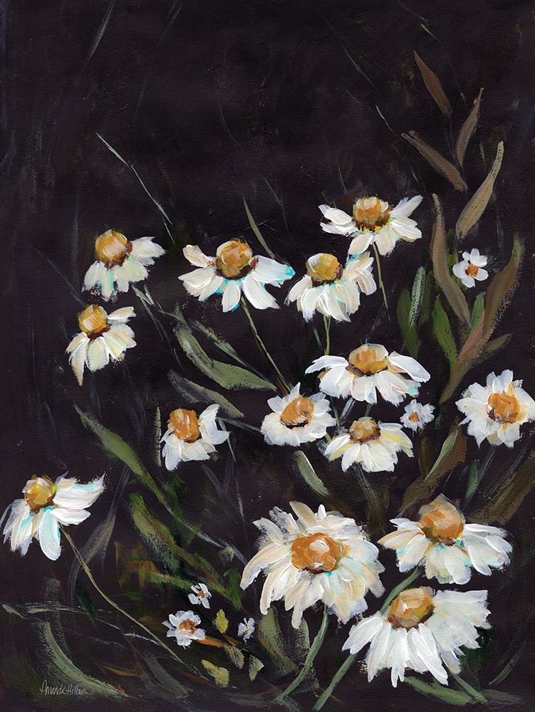 Daisy Field art print by Amanda Hilburn for $57.95 CAD