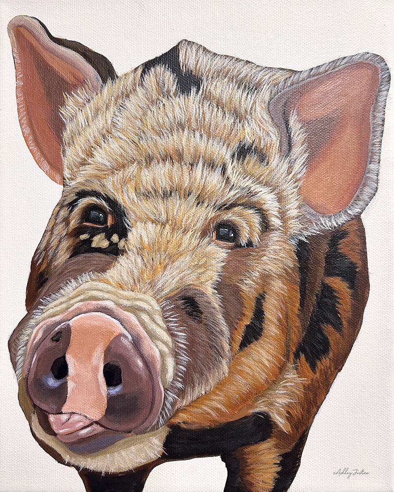 Harvey the Pig art print by Ashley Justice for $57.95 CAD