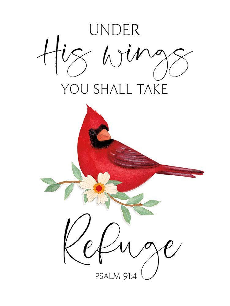 Under His Wings Cardinal art print by Annie LaPoint for $57.95 CAD