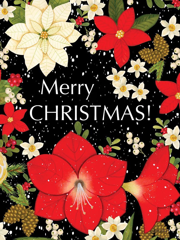 Floral Merry Christmas art print by Annie LaPoint for $57.95 CAD
