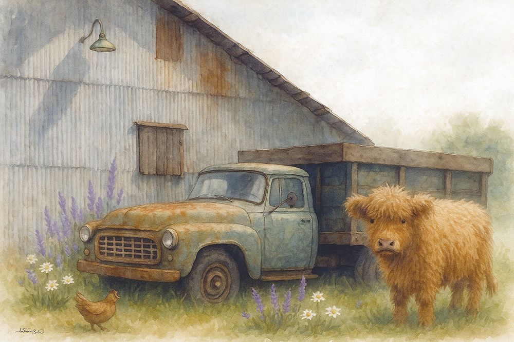 Fluffy Highland on the Farm art print by Anthony Smith for $57.95 CAD