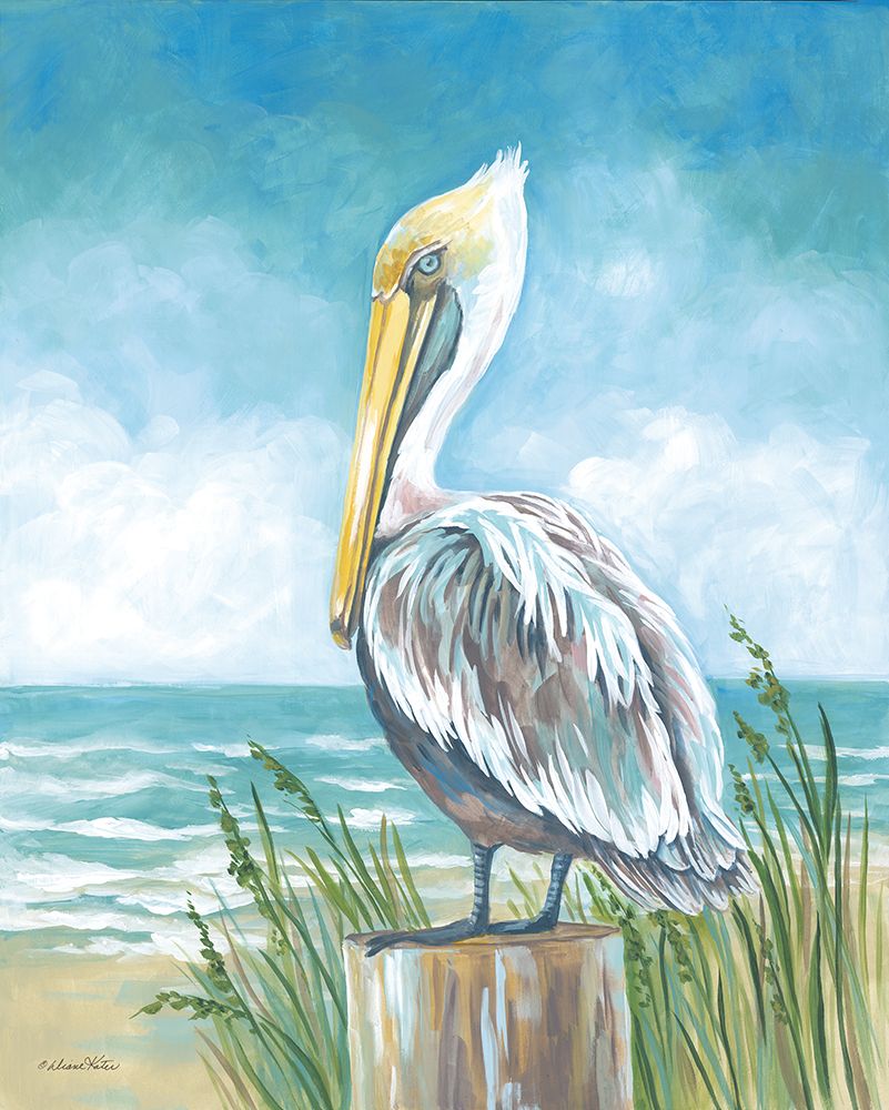 Perched Pelican art print by Diane Kater for $57.95 CAD