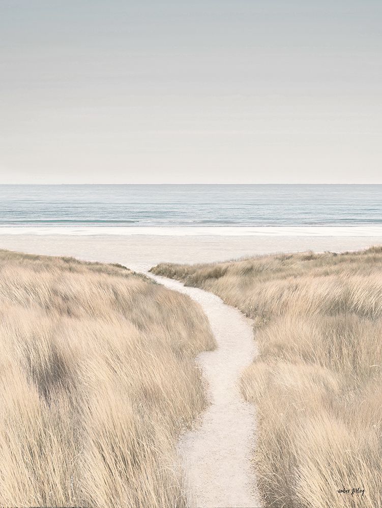 Coastal Dreams II art print by Amber Sterling for $57.95 CAD