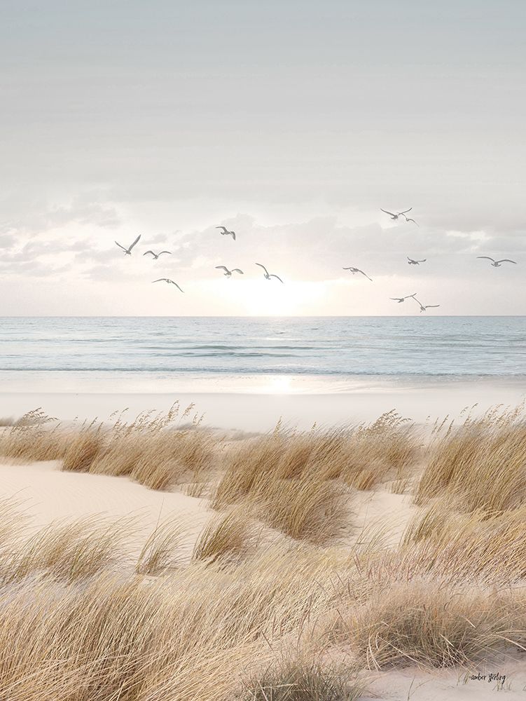 Coastal Dreams V art print by Amber Sterling for $57.95 CAD