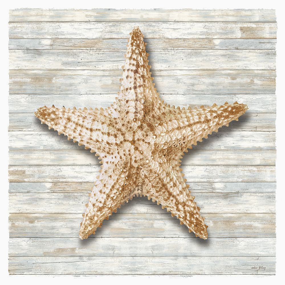 Seashells I art print by Amber Sterling for $57.95 CAD