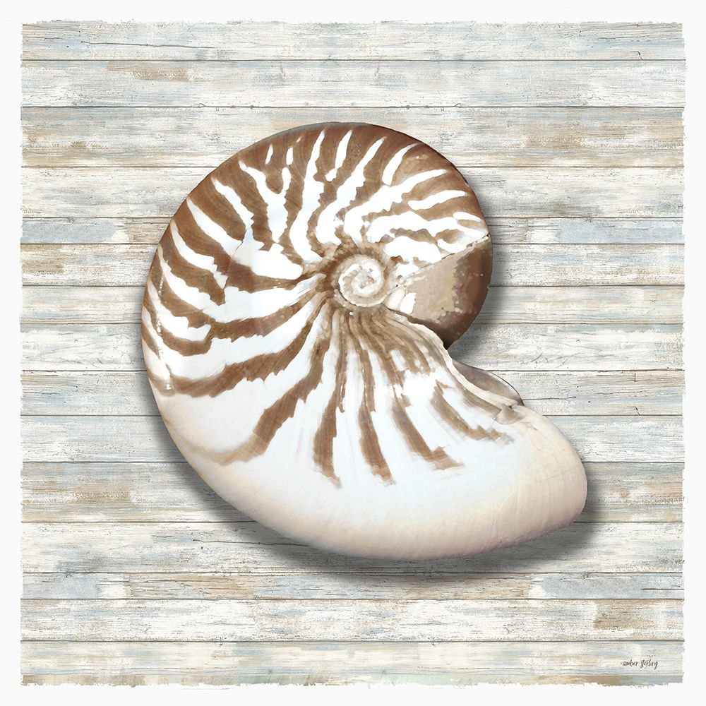 Seashells II art print by Amber Sterling for $57.95 CAD