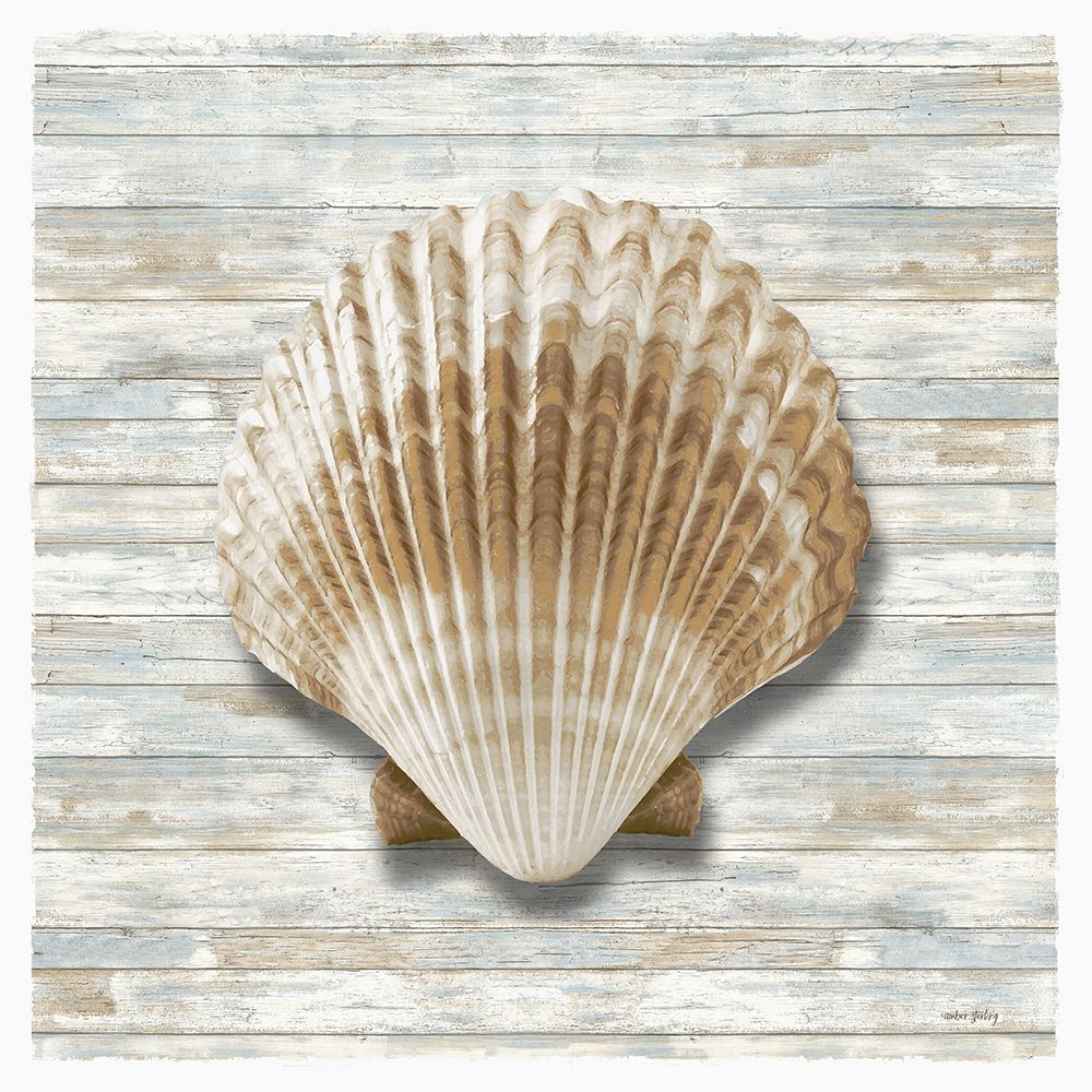 Seashells IV art print by Amber Sterling for $57.95 CAD