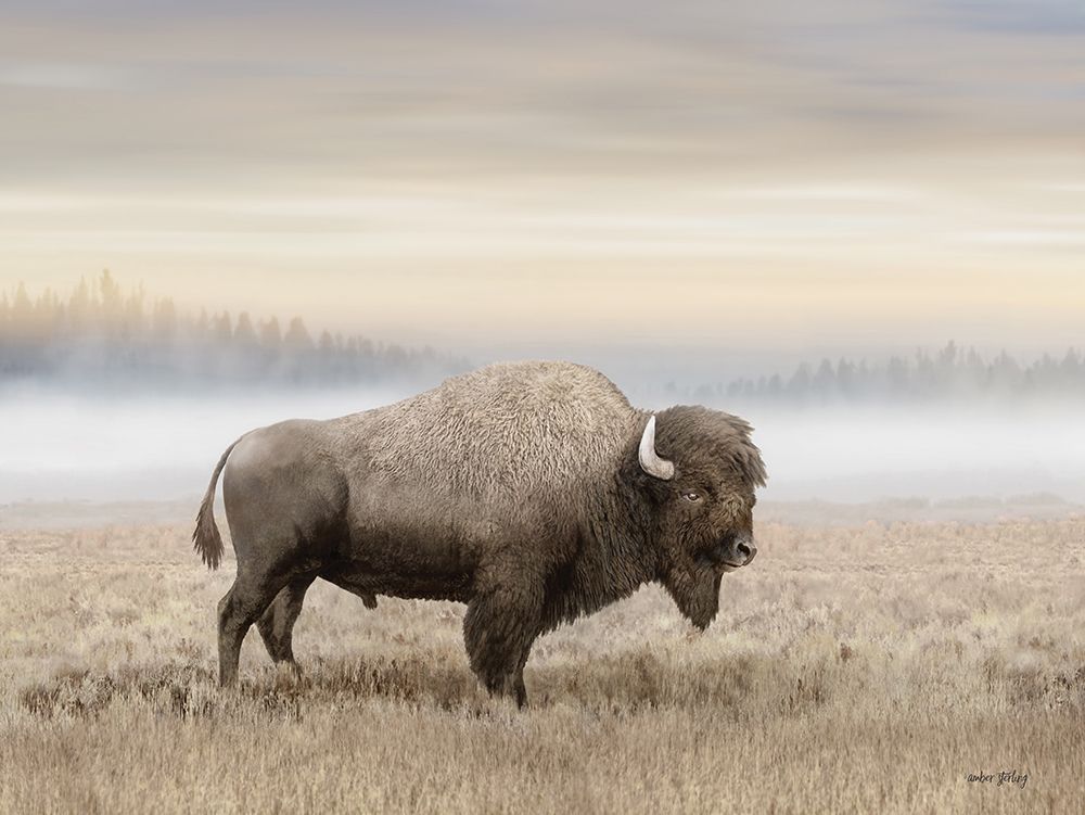 Morning Sunrise Bison art print by Amber Sterling for $57.95 CAD