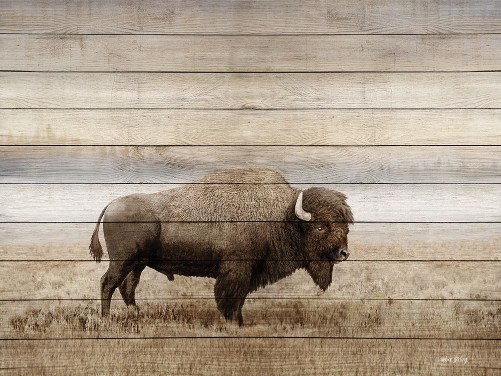 Rustic Bison art print by Amber Sterling for $57.95 CAD