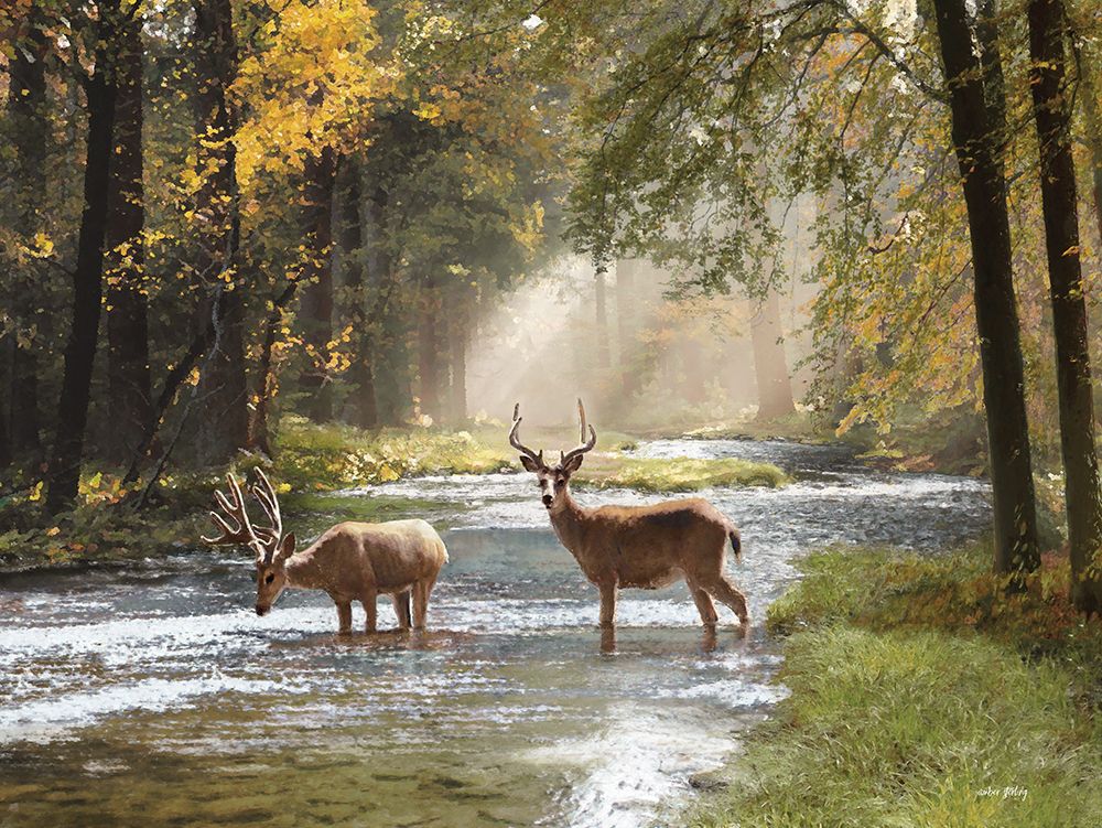 Creek Stop art print by Amber Sterling for $57.95 CAD