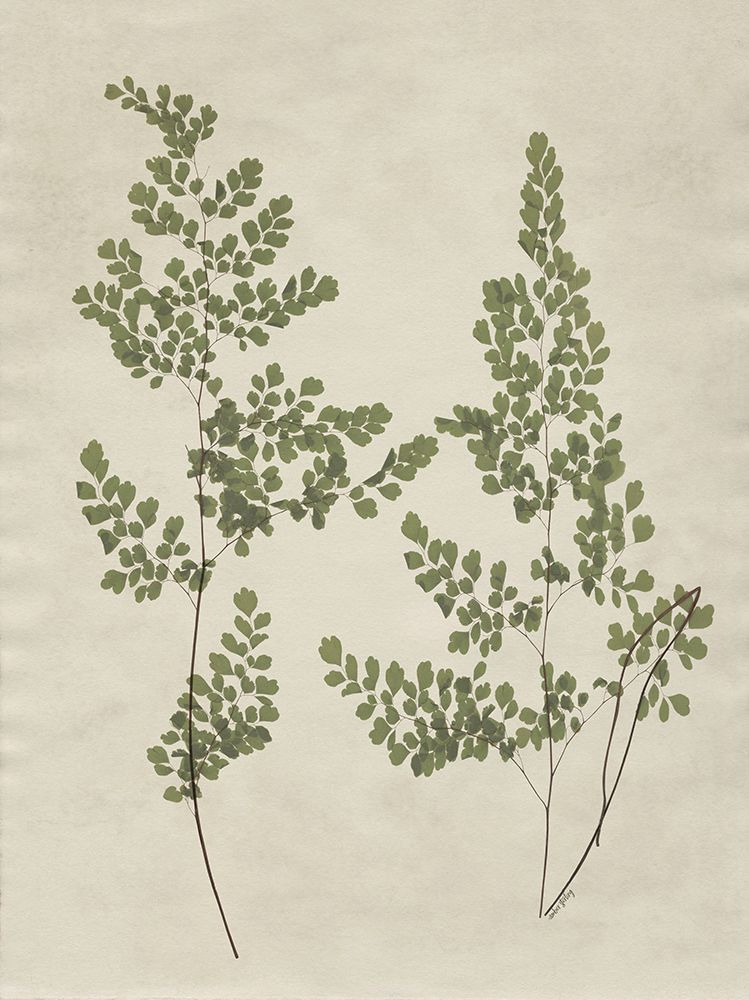 Botanical Leaves 2 art print by Amber Sterling for $57.95 CAD