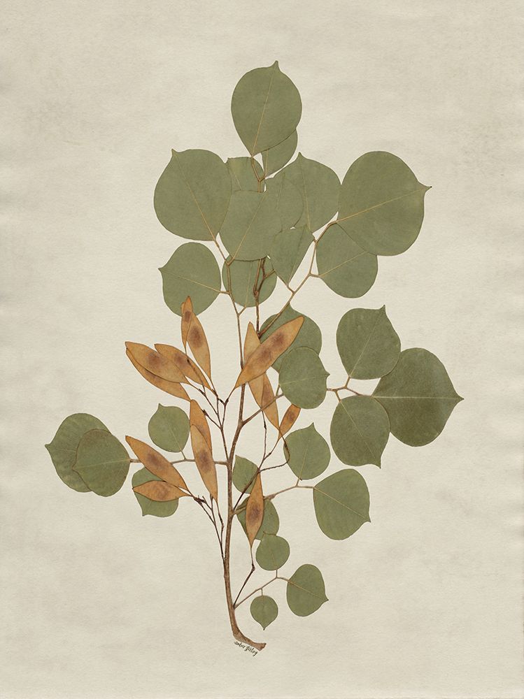 Botanical Leaves 3 art print by Amber Sterling for $57.95 CAD