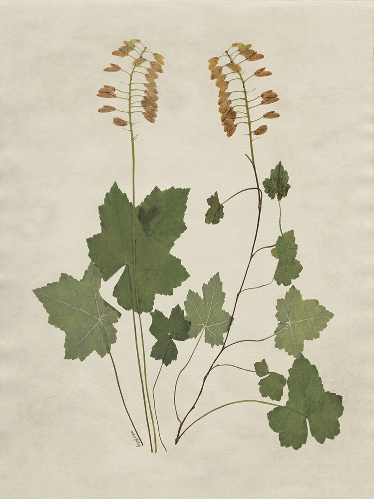 Botanical Leaves 4 art print by Amber Sterling for $57.95 CAD
