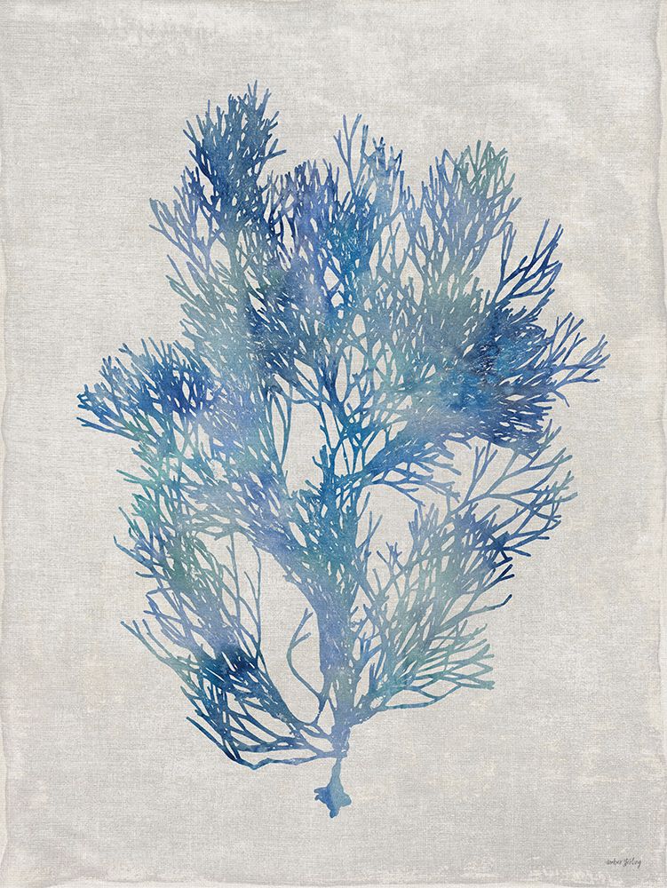 Seaweed I art print by Amber Sterling for $57.95 CAD