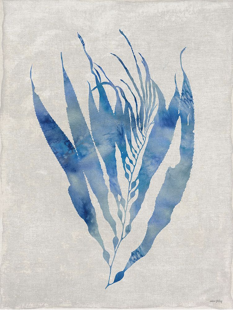 Seaweed II art print by Amber Sterling for $57.95 CAD