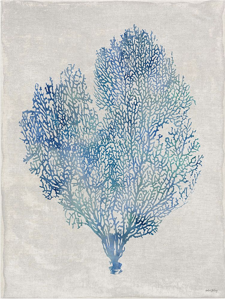 Sea Fan art print by Amber Sterling for $57.95 CAD