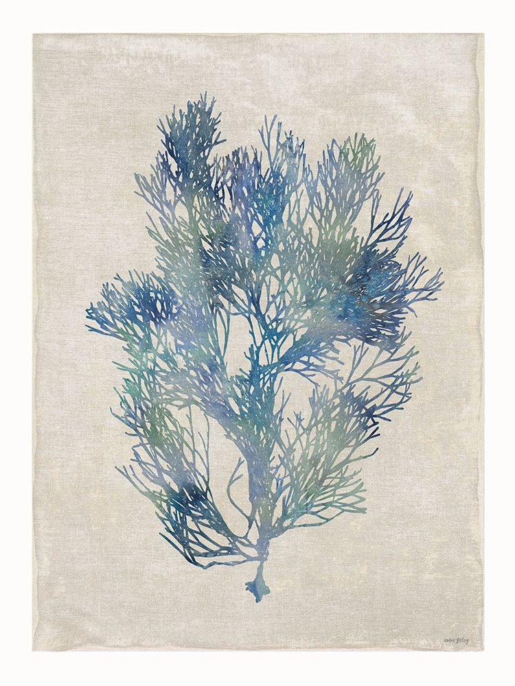 Underwater Beauty II art print by Amber Sterling for $57.95 CAD