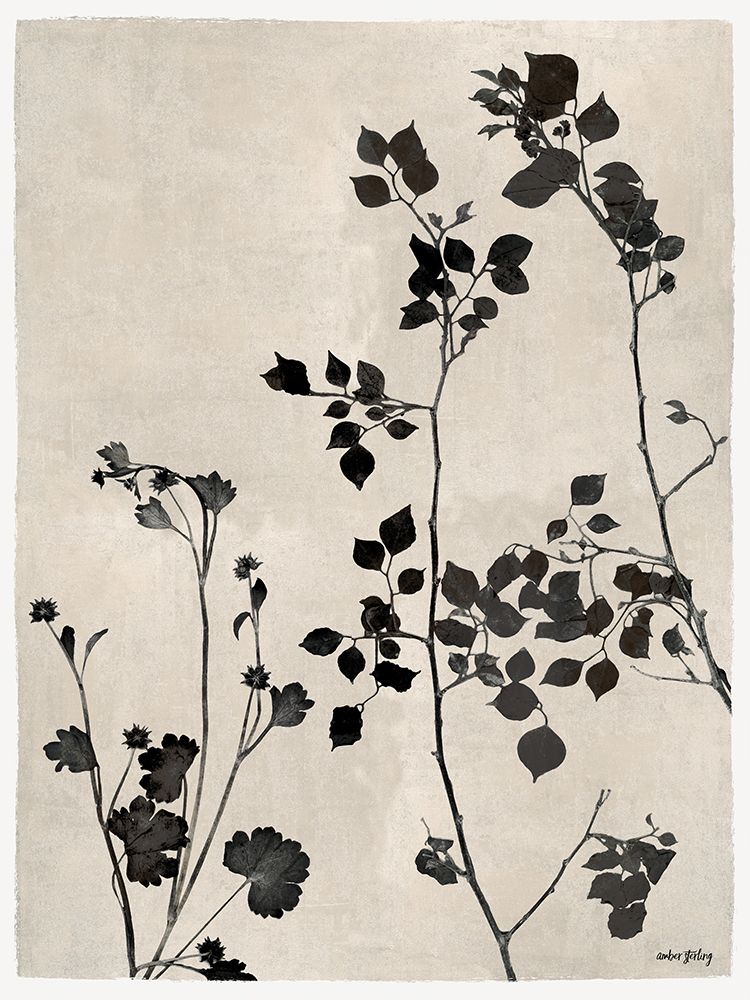 Ink Garden II art print by Amber Sterling for $57.95 CAD