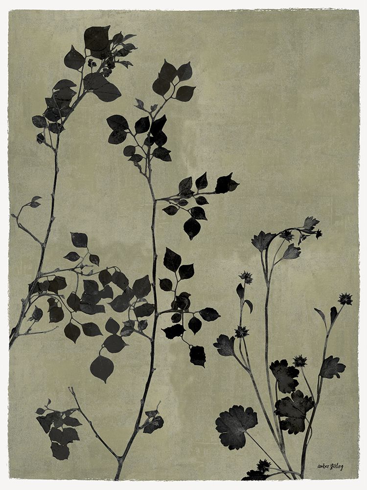 Shadow Branches II art print by Amber Sterling for $57.95 CAD