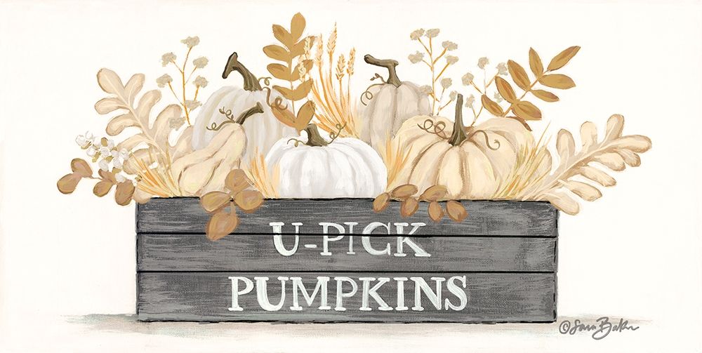 U-Pick Pumpkins art print by Sara Baker for $57.95 CAD