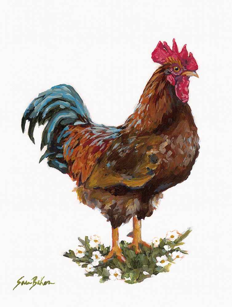 Hen House Mr. Rooster art print by Sara Baker for $57.95 CAD