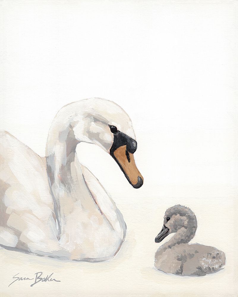 A Swan All Along 1 art print by Sara Baker for $57.95 CAD