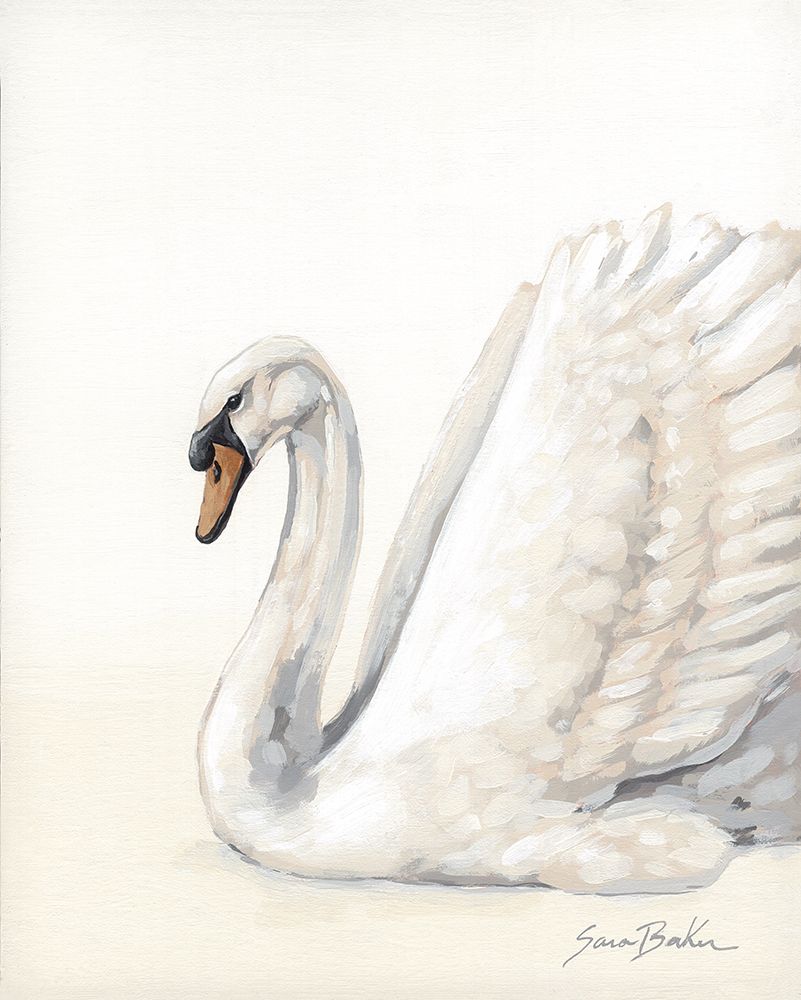 A Swan All Along 2 art print by Sara Baker for $57.95 CAD