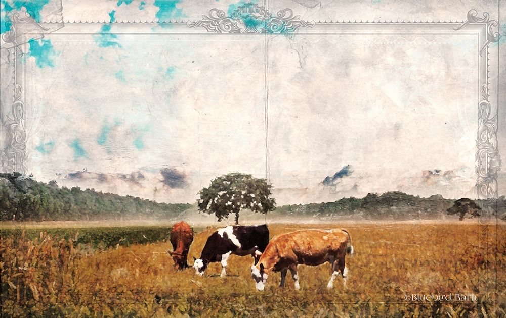 Vintage Grazing Cattle art print by Bluebird Barn for $57.95 CAD