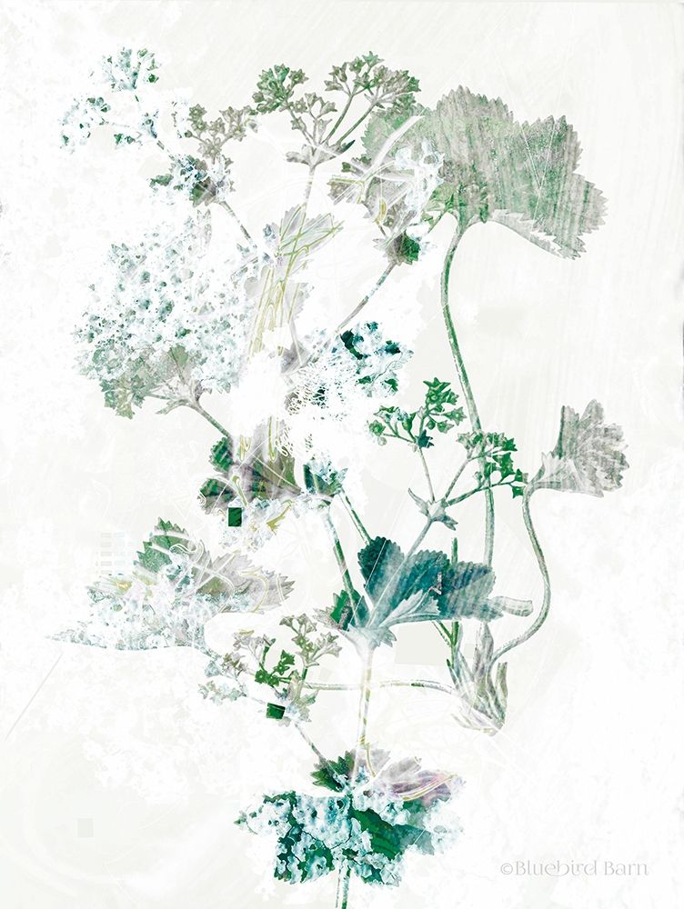 Geranium Botanical art print by Bluebird Barn for $57.95 CAD