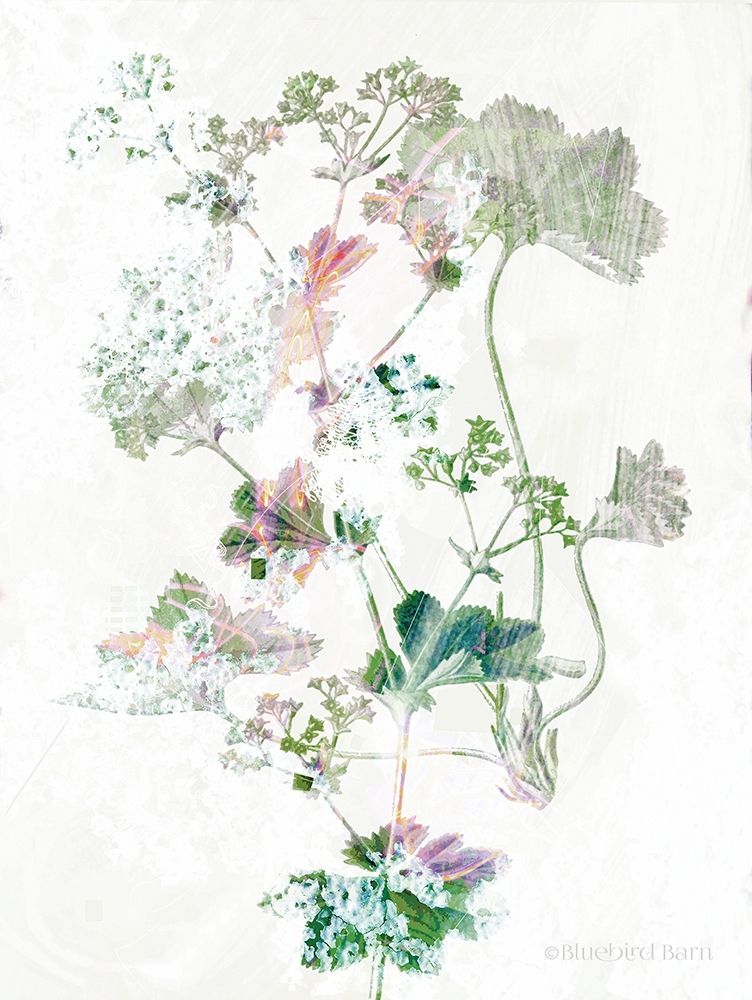 Boho Geranium Botanical art print by Bluebird Barn for $57.95 CAD