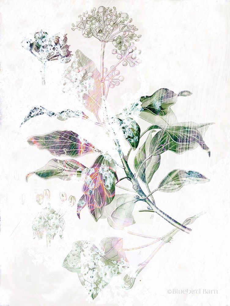 Boho Verbena Botanical art print by Bluebird Barn for $57.95 CAD