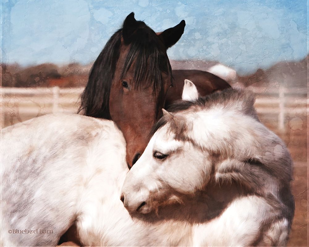 White and Chestnut Horses art print by Bluebird Barn for $57.95 CAD