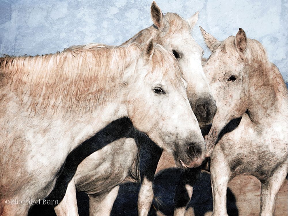 White Horse art print by Bluebird Barn for $57.95 CAD