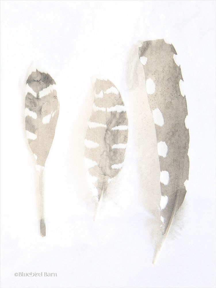 Neutral Feathers Study art print by Bluebird Barn for $57.95 CAD