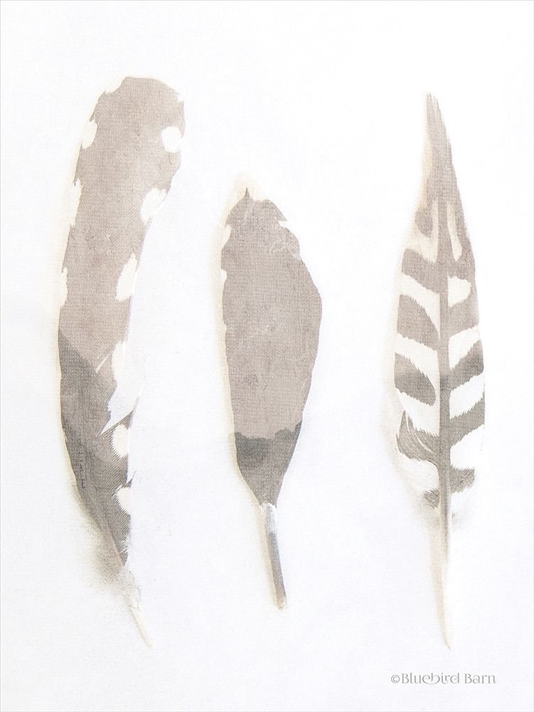 Soft Feathers Study art print by Bluebird Barn for $57.95 CAD