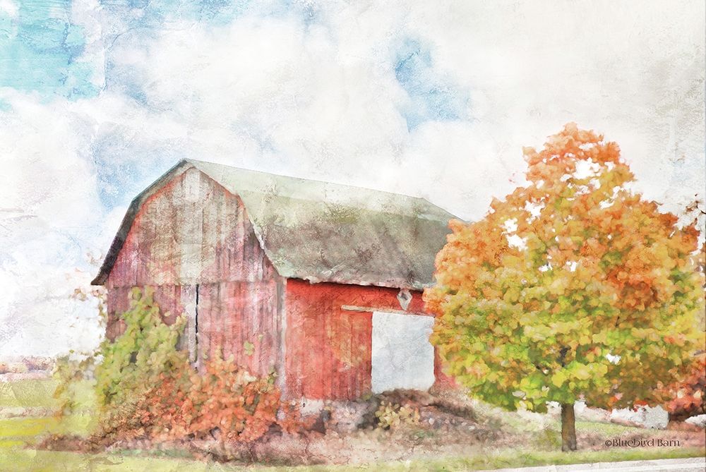 Autumn Maple by the Barn art print by Bluebird Barn for $57.95 CAD