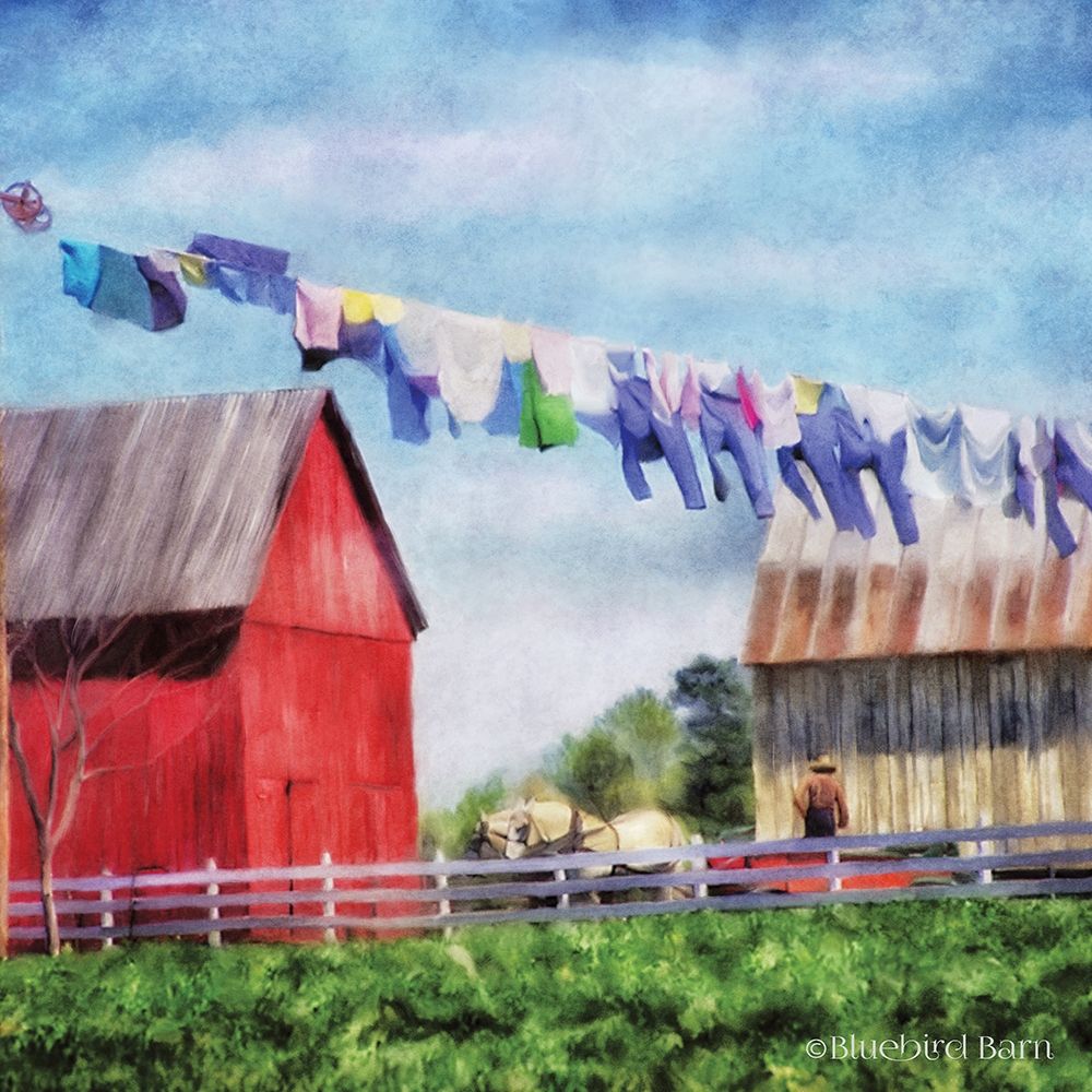 Clothesline Farm art print by Bluebird Barn for $57.95 CAD
