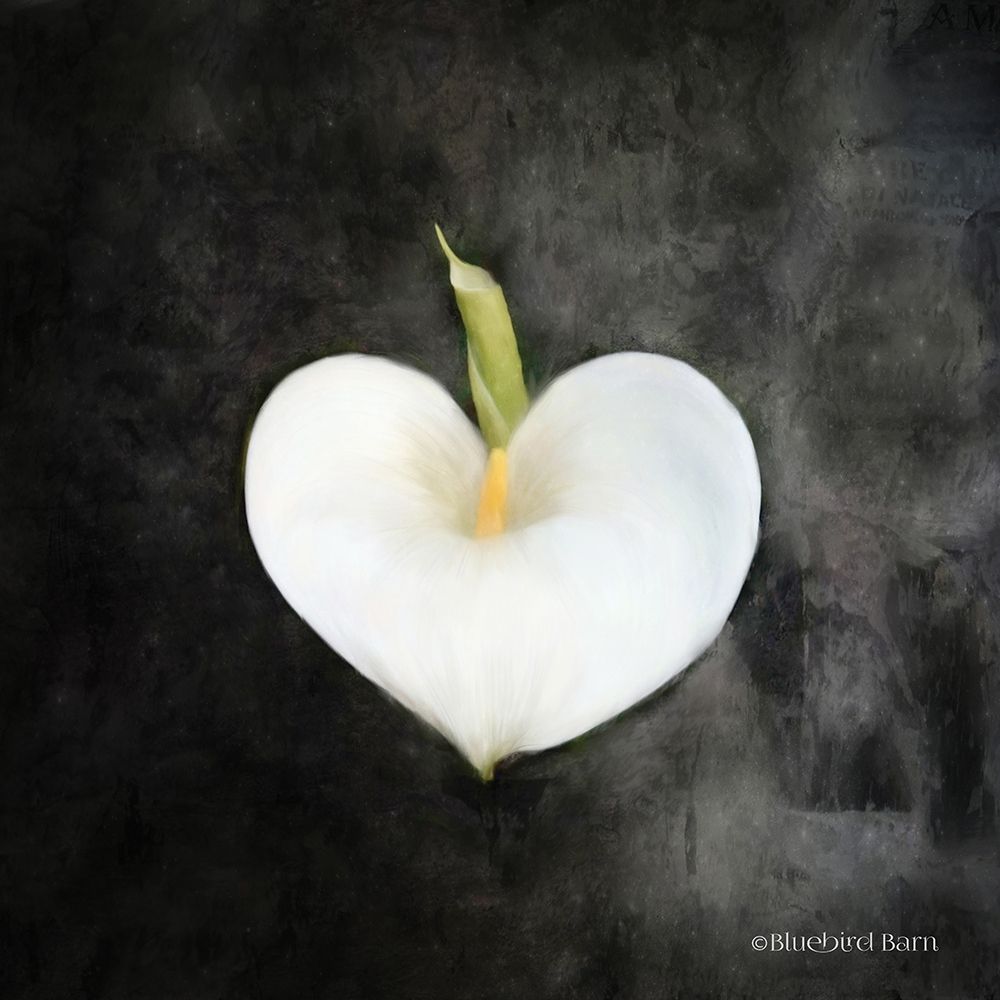 Contemporary Floral Cala Lily art print by Bluebird Barn for $57.95 CAD