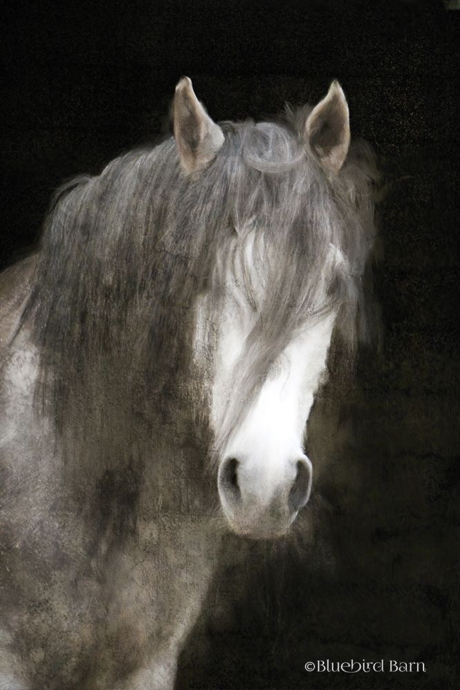 Gypsy Vanner Mystique art print by Bluebird Barn for $57.95 CAD